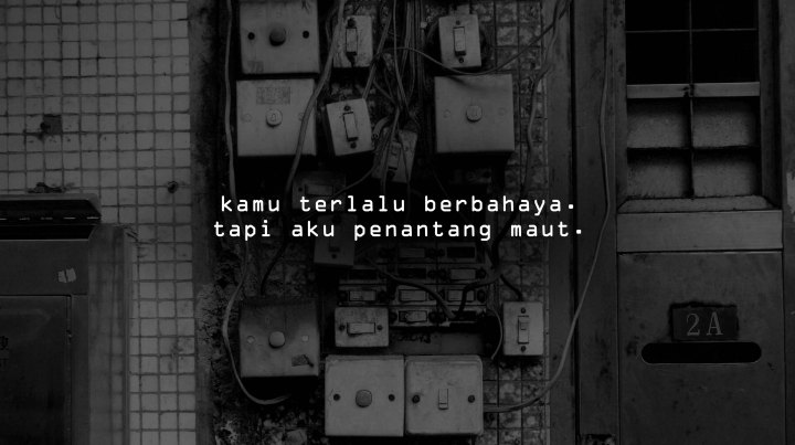 yung-chang-108329-unsplash copy