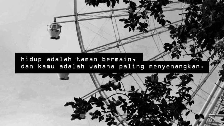 wander-fleur-498270-unsplash